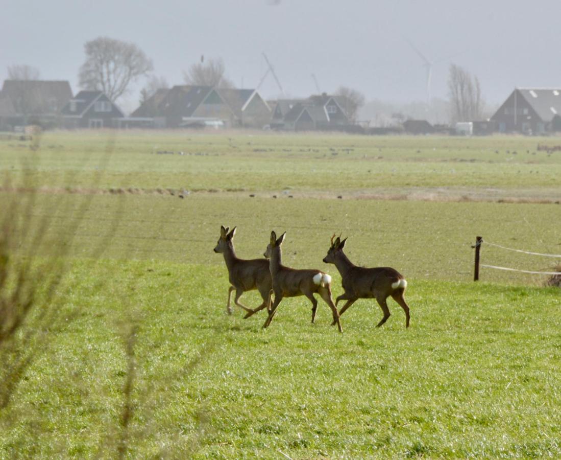 Het Melkhuis Op Prachtig Landgoed Koepeltjesplaats Gaast Zewnętrze zdjęcie