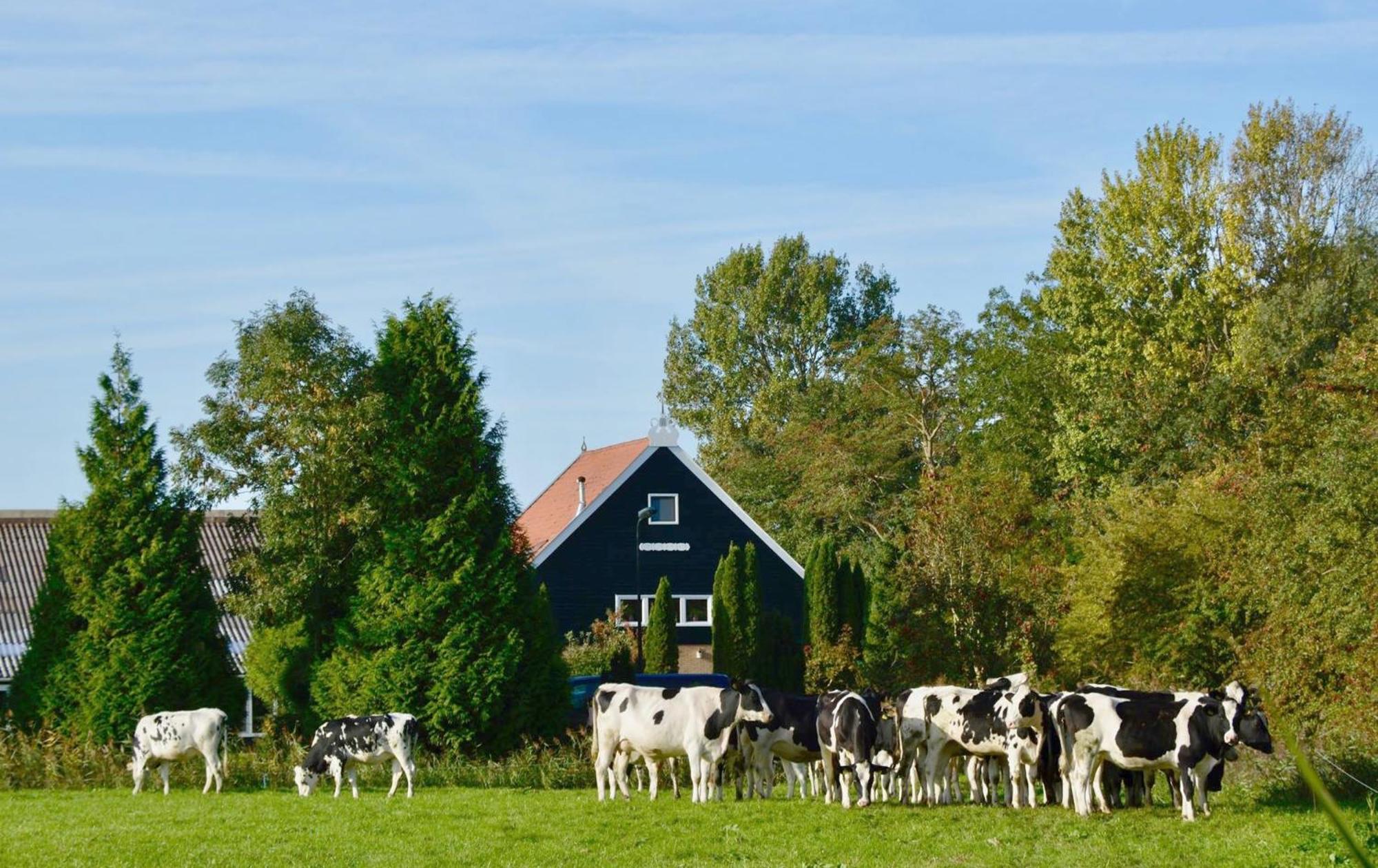 Het Melkhuis Op Prachtig Landgoed Koepeltjesplaats Gaast Zewnętrze zdjęcie